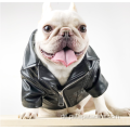 kleines Haustier französische Bulldogge Pelzmantel Luxusmode